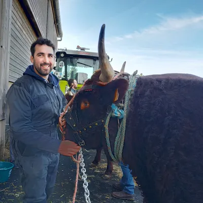 Salon de l’agriculture : pas de concours bovins en 2026