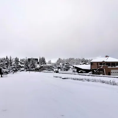 Mont Lozère : 80 cm de neige et un mercredi qui sent les vacances