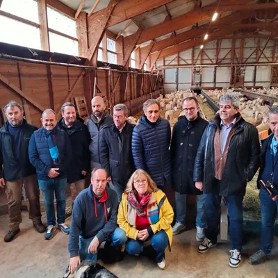 L’Aveyron et ses brebis en vedettes au Salon de l'Agriculture