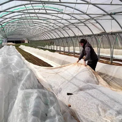 En Lozère, les maraîchers s'adaptent au climat 