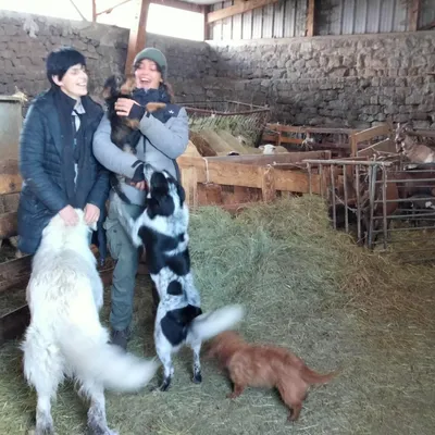 La Ferme enchantée ou l'arche de Noé lozérien