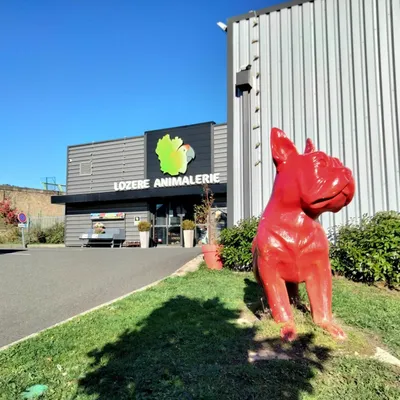 Seule animalerie de Lozère depuis 17 ans, elle voit une grande...