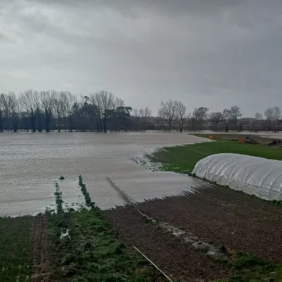 La tempête Nils provoque de lourds dégâts dans le Tarn-et-Garonne...