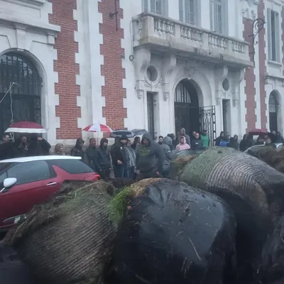 Du fumier déversé devant la permanence de François Hollande à Tulle