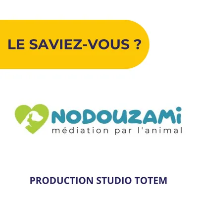 Le Saviez-Vous ? - NODOUZAMI