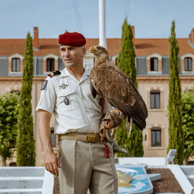 De Malizia à Roccia : une nouvelle mascotte pour le 17e RGP de...