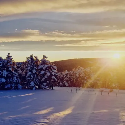 Les stations du Mont Lozère et du Mont Aigoual font leur première...