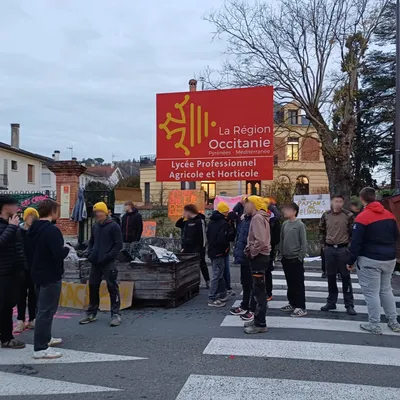 Dermatose nodulaire : mobilisation des lycéens agricoles à Moissac