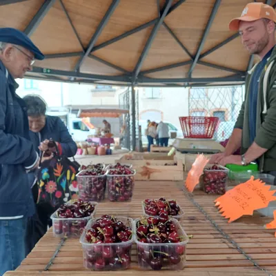 Tarn-et-Garonne : les cerises arrivent avec deux semaines d’avance