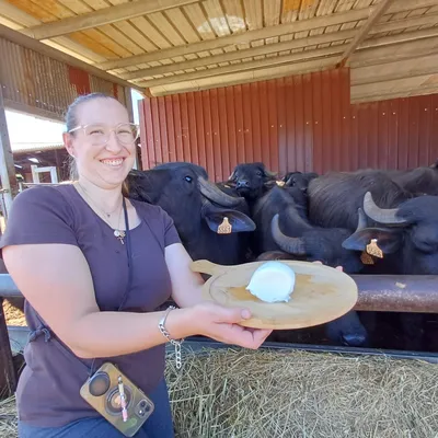 Insolite : une mozzarella de bufflonne made in Tarn-et-Garonne