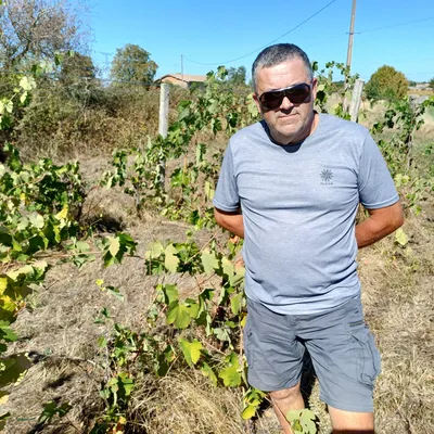 Saint-Sardos : une des premières appellations viticoles emportées...