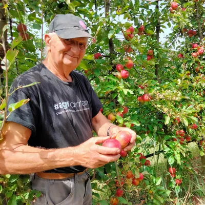 Tarn-et-Garonne : l'agriculteur qui avait tiré en l'air pour faire...