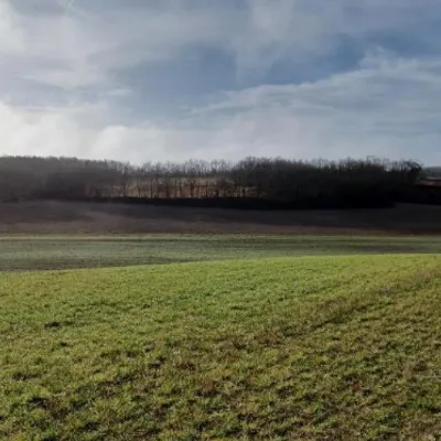 Agrivoltaïsme : la contestation s’organise et se finance à...