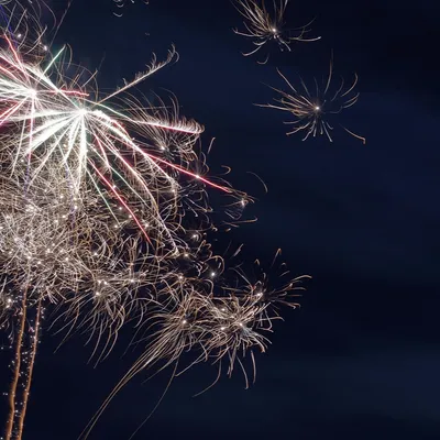 Aveyron : les feux d’artifice interdits du 10 au 15 juillet