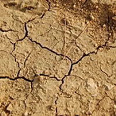 Chaleur : le niveau alarmant des cours d'eau aveyronnais 