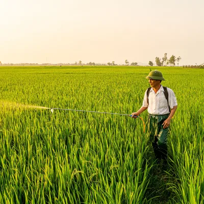 Pesticides interdits : en Aveyron, l’OFB renforce la lutte contre...