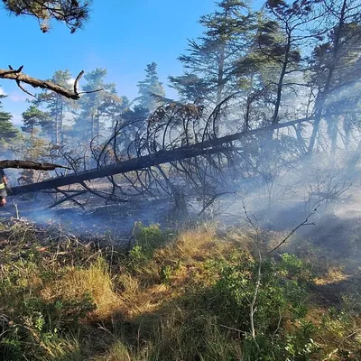 Incendie dans l'Aude  : des pompiers en renfort