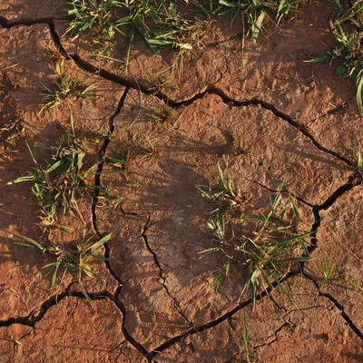 Sécheresse : 1 milliard d'euros pour les agriculteurs