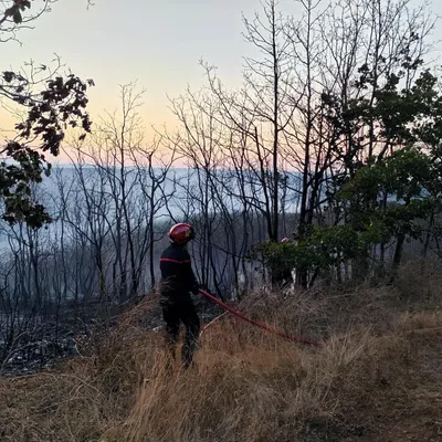 Lozère : nouveaux feux après les orages, le Massegros fixé