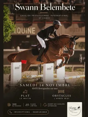 UN STAGE EXCEPTIONNEL AUX ÉCURIES DE LA SAUZAIE avec Swann...