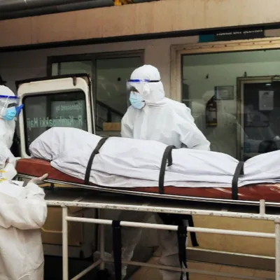 Virus Nipah : une nouvelle maladie rare redoutée, sous surveillance...