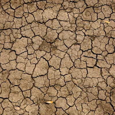 Le mois de septembre 2026 a été le deuxième plus chaud et le...