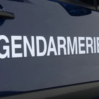 Morbihan : des chiens de chasse provoquent un carambolage sur la RN165