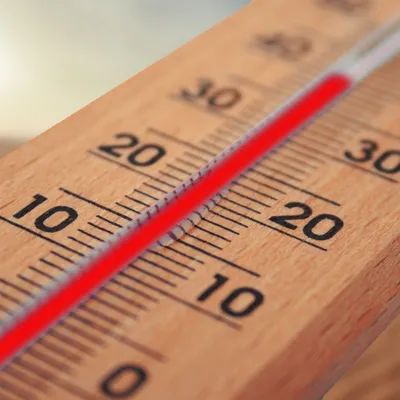 Canicule : un jeudi historique et étouffant dans le Grand Ouest