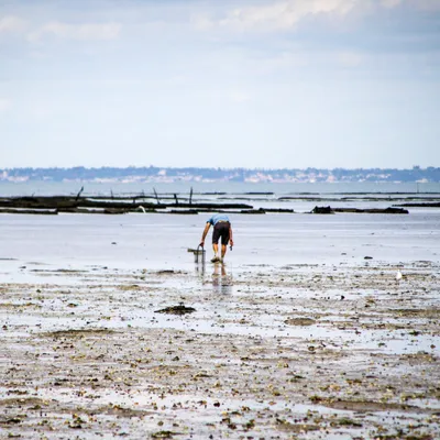Grandes marées : les bons réflexes pour éviter le piège