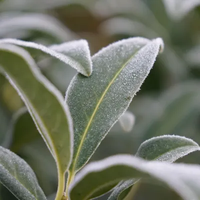 Météo : retour d’une ambiance plus hivernale dans le Nord-Ouest