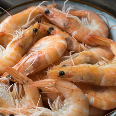 La grande distribution appelée à mieux protéger les crevettes...
