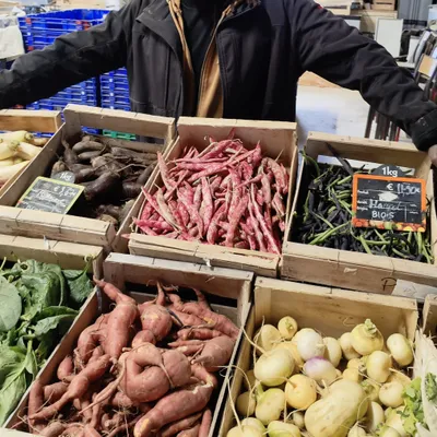 Loi d'urgence agricole : les AMAP du Centre-Val de Loire...