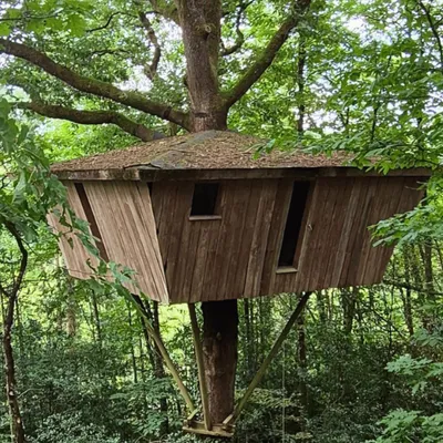 Gagnez votre séjour insolite au cœur de la forêt !
