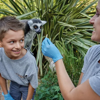 Devenez soigneur d'un jour au Zoo de La Flèche !