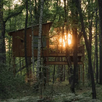 Gagnez un weekend dans une cabane d'architecte, au coeur de la...