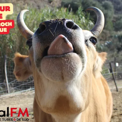 Coup de Coeur Nins Guide : La ferme Saint-Roch de Villemolaque pour...