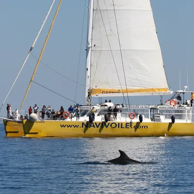 P.O : Partez en croisière, le temps d'un instant avec Navivoile