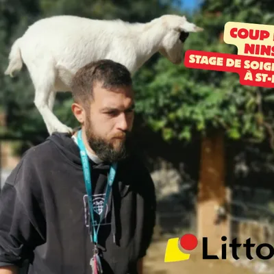 Coup de coeur Nins Guide : devenez soigneur animalier le temps d'un...