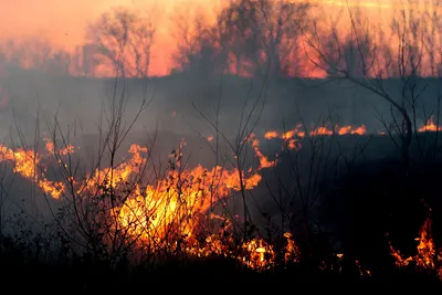 Incendie en Gironde : le feu est stabilisé mais pas fixé