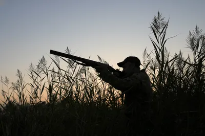 Accident de chasse à Cassagnas : un promeneur tué