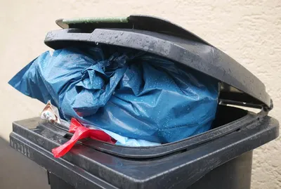 Rodez : la collecte des déchets modifiée à Noël et au Nouvel An