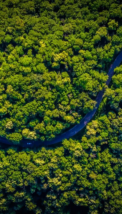 COP30 : quels sont les enjeus de la conférence sur le climat au...