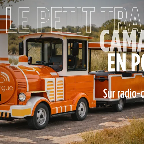 Au cœur de la Camargue sauvage