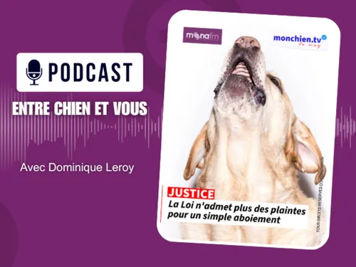 Les chiens aboient et c’est bien normal, mais jusqu’où se situe...