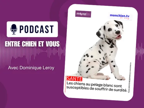 LE PELAGE BLANC