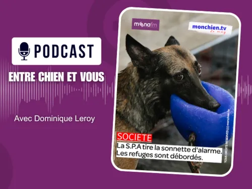 LES REFUGES SONT SATURÉS