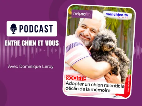 ADOPTER UN CHIEN QUAND ON EST SÉNIOR ? 