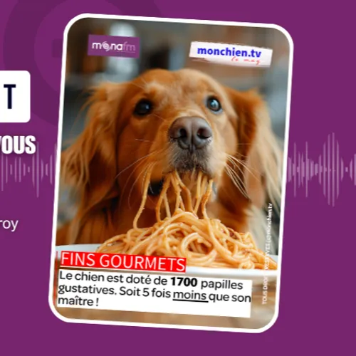 Vous vous êtes déjà demandé pourquoi votre chien mange à peu près n’importe quoi ?