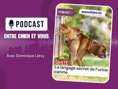 LE POUVOIR DE L’URINE