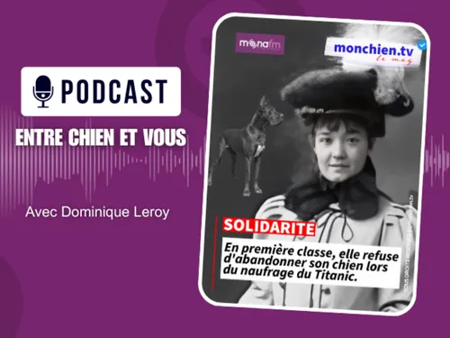 L’amour plus fort que la survie ?